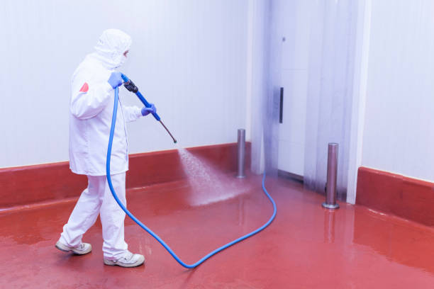 Professional Pressure Washing Services in Burlington, WI