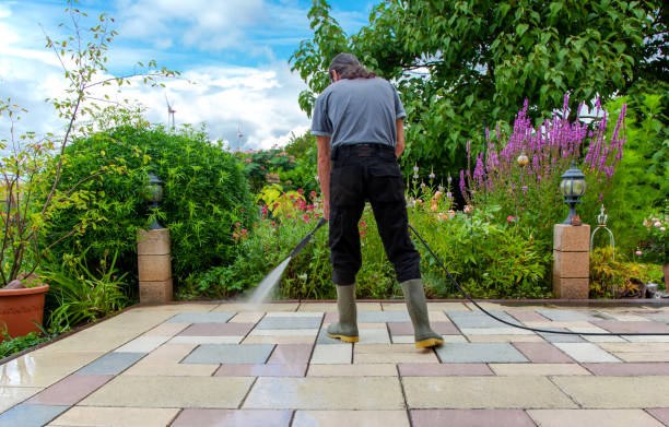 Best Brick and Stone Cleaning in Burlington, WI